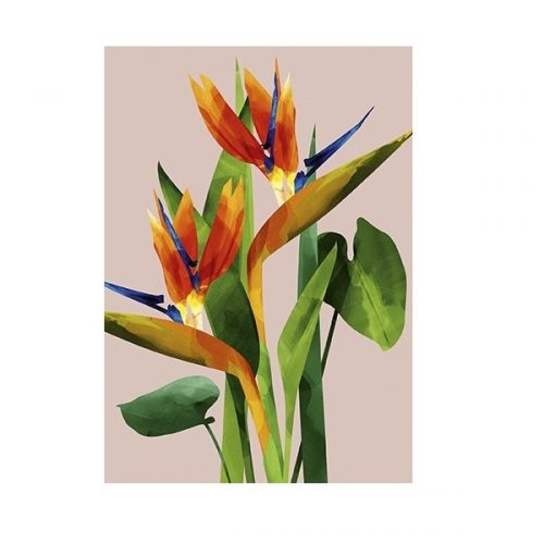 Artpress Kaart dubbel + Birds of Paradise