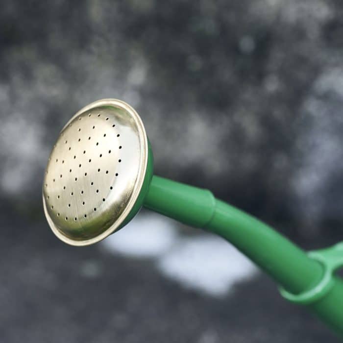 HD Watering Can green