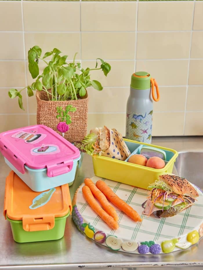 Rice lunchbox Soft Green & Blue