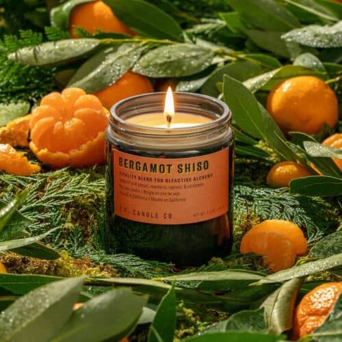 P.F. Bergamot Shiso Soy Candle Alchemy