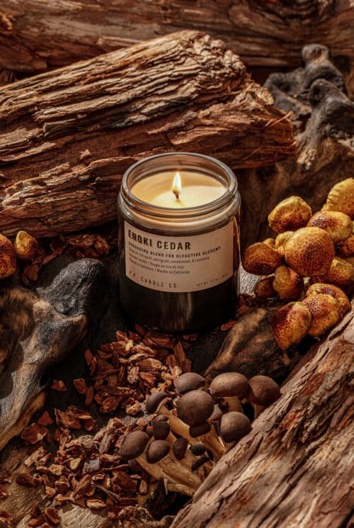 P.F. Enoki Cedar Soy Candle Alchemy