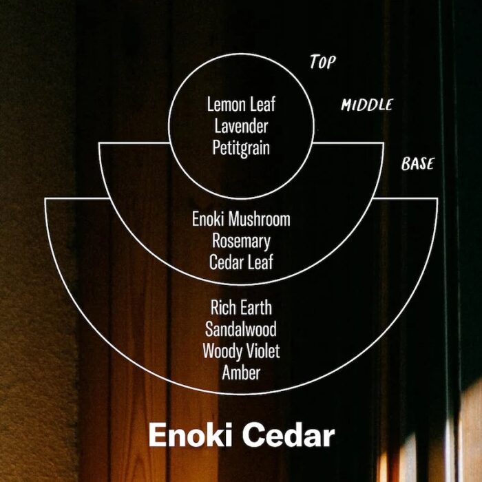 P.F. Enoki Cedar Soy Candle Alchemy