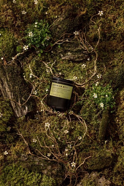 P.F. Geranium Moss Soy Candle Alchemy