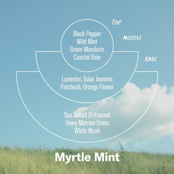 P.F. Myrtle Mint Incense Cones Alchemy