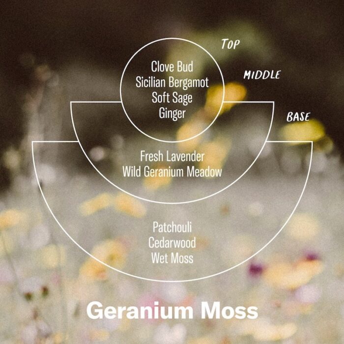 P.F. Geranium Moss Incense Cones Alchemy