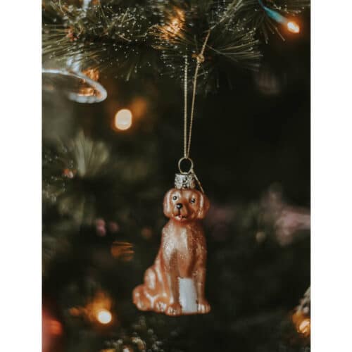 Glazen kerstdecoratie Golden Retriever