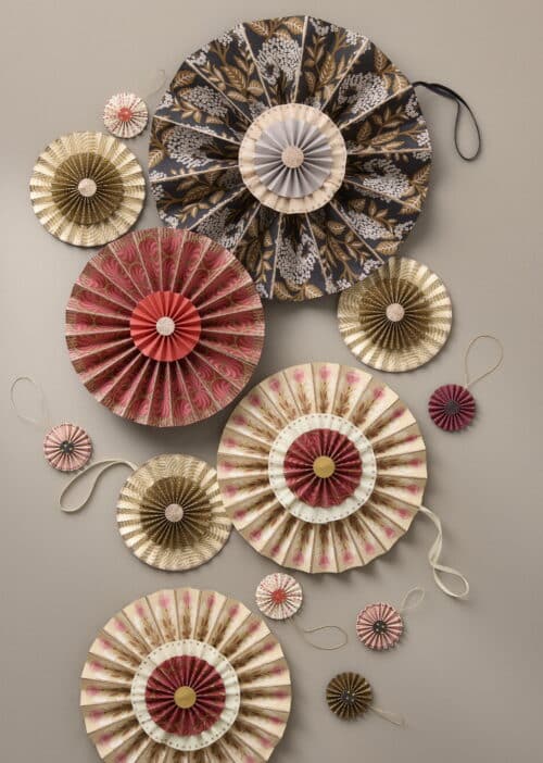 Paper Rosette Palm Ruby