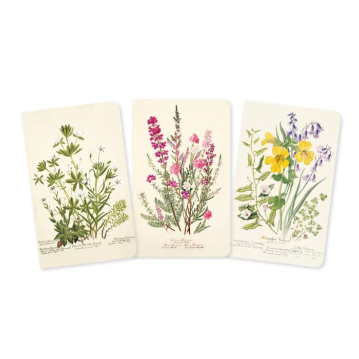 Set van 3 mini notebooks Royal Botanic Garden Edinburgh