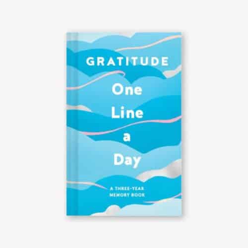 One line a day Gratitude