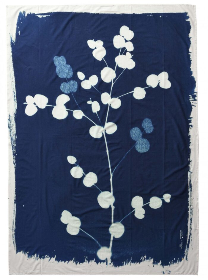 Pareo Cyanotype Eucalyptus