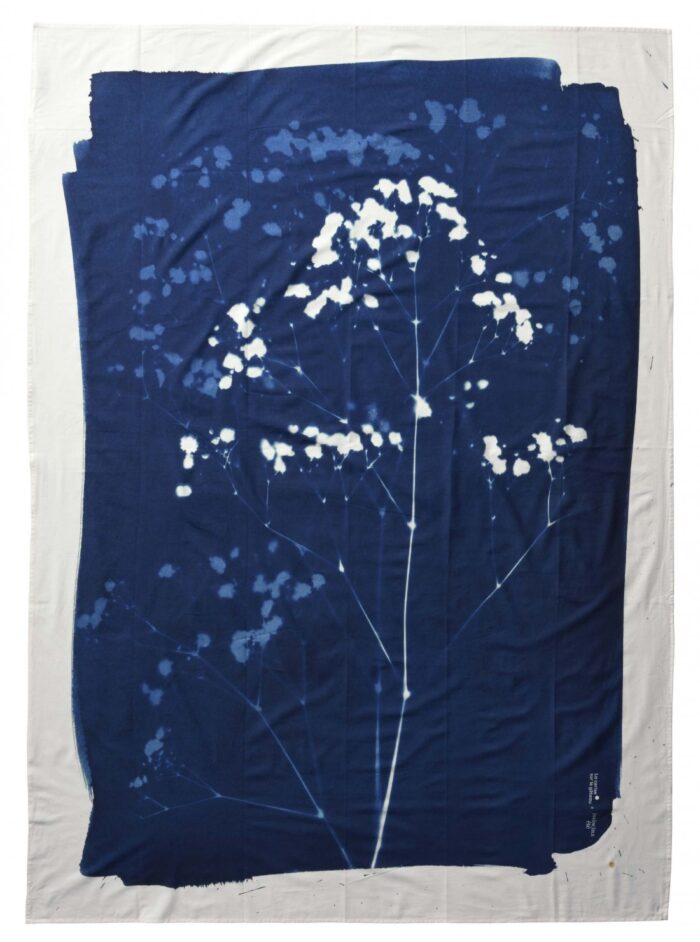 Pareo Cyanotype Gypso