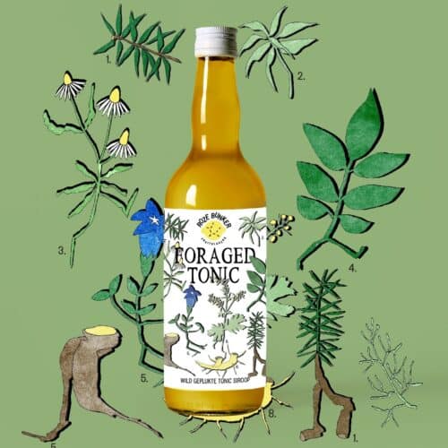 Roze Bunker Foraged Tonic 700ml