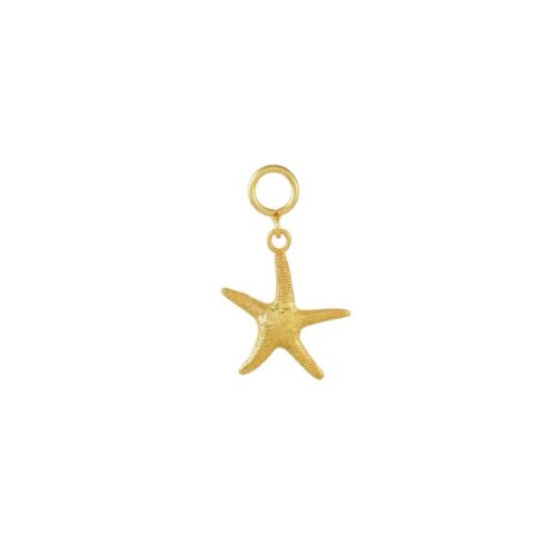 Charm Gold Starfish